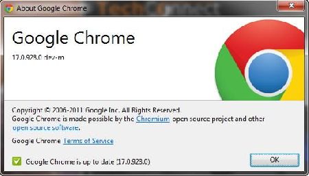  Google Chrome 17.0.928.0     