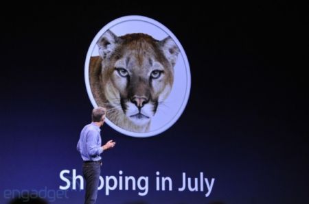 OS X Mountain Lion     