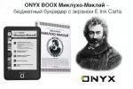 ONYX BOOX -      E Ink Carta