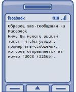  SMS   Facebook   