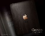  iPad Gresso  200-    (03.01.2011)