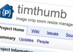     TimThumb  WordPress     